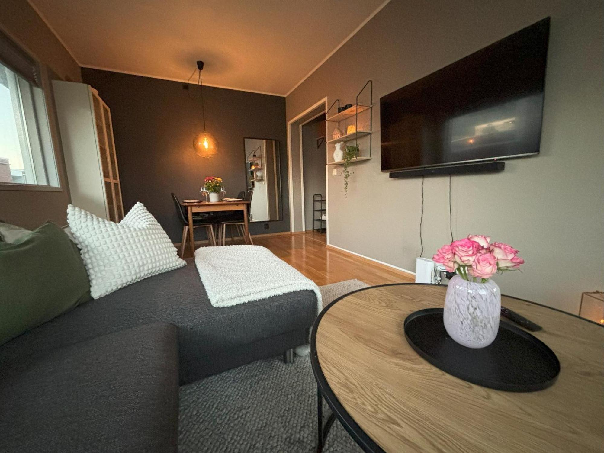 Apartment Sentrumsnaer Midt I Sentrum *